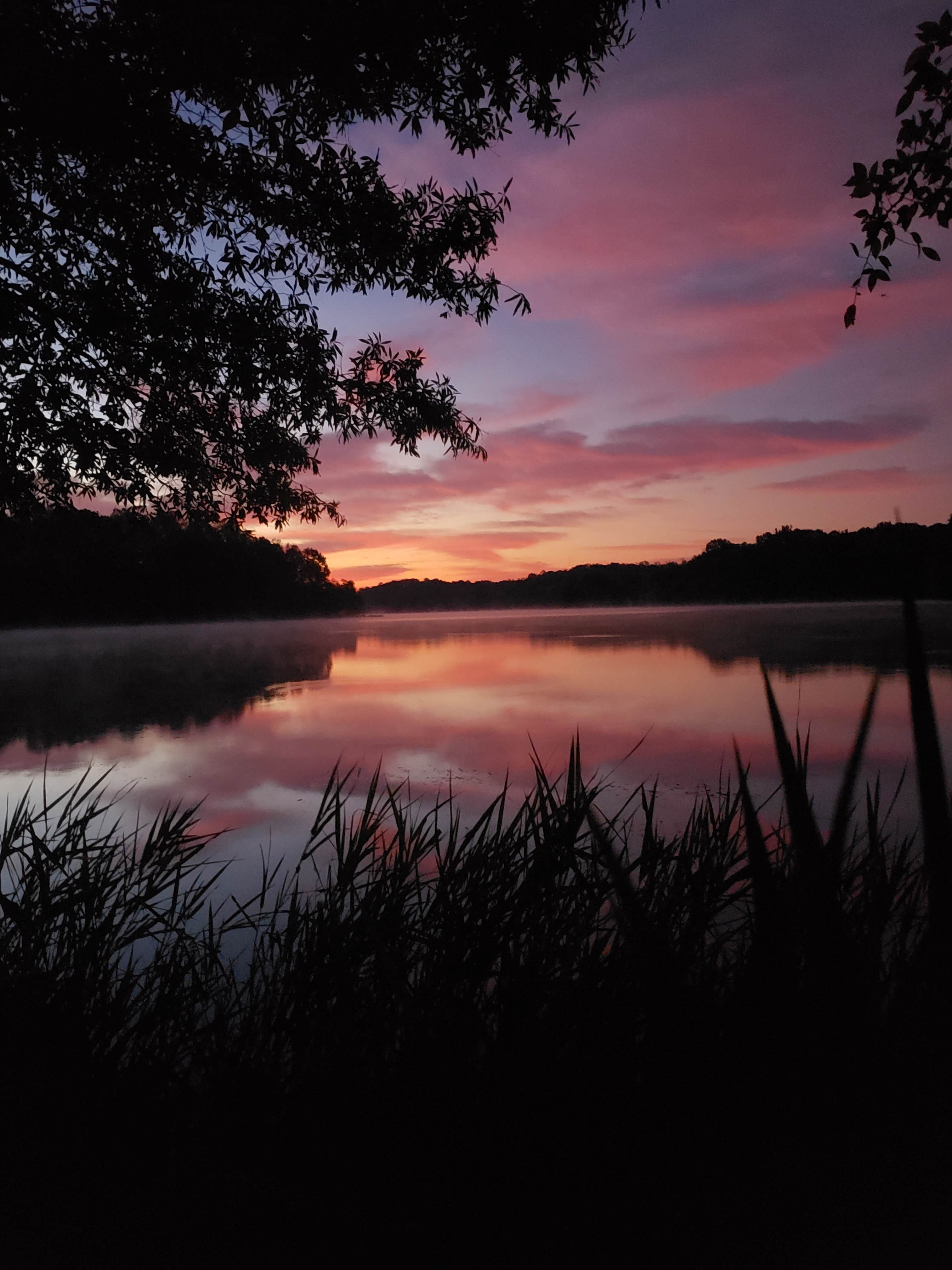 Lake Reidsville Recreation Park Camping | The Dyrt