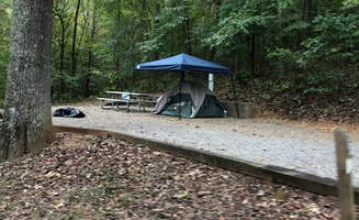 Lori H.'s photo at Melton Hill Dam Campground — Tennessee Valley Authority (TVA) near Clinton, TN