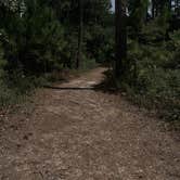 Review photo of Dauphin Island Campground by Nate H., October 13, 2019