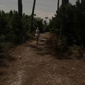 Review photo of Dauphin Island Campground by Nate H., October 13, 2019