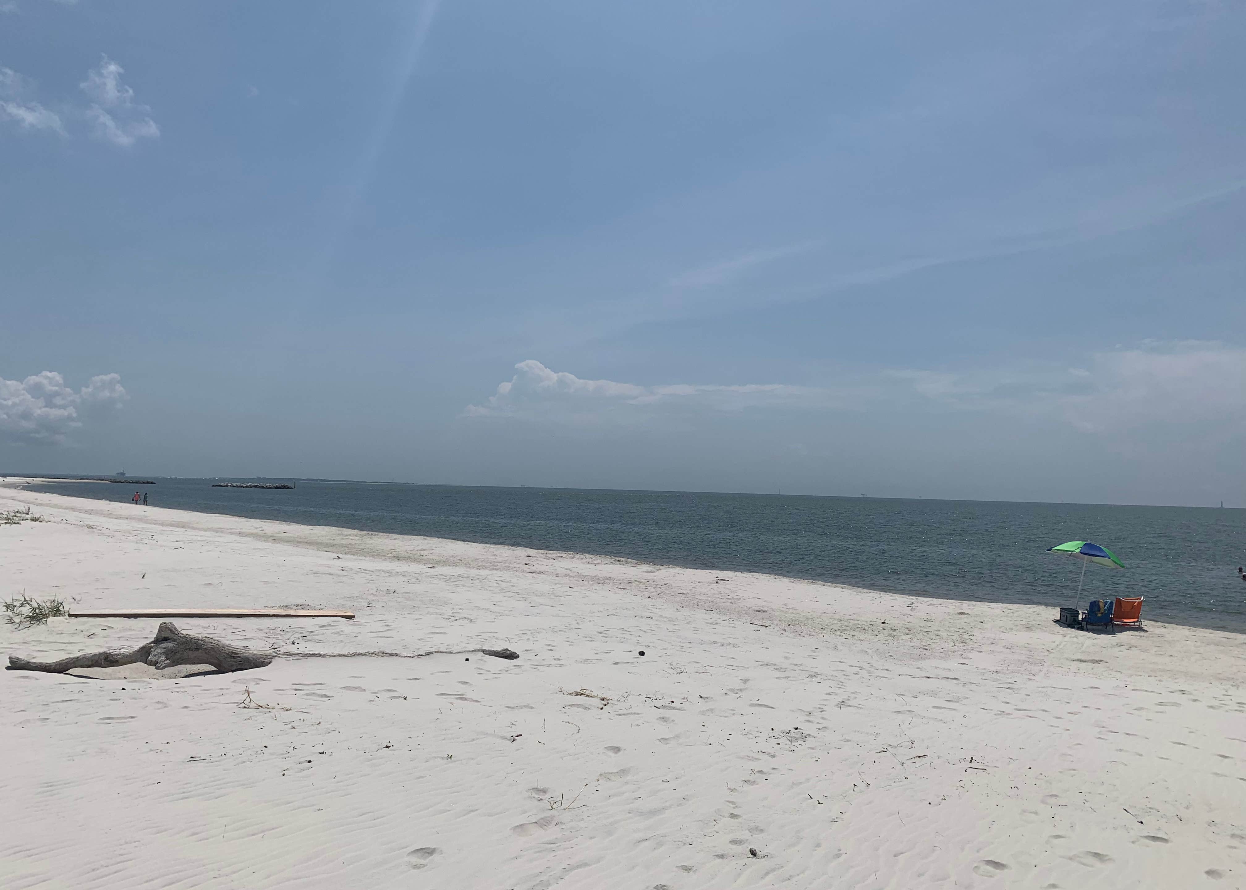View All