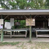 Review photo of Dauphin Island Campground by Nate H., October 13, 2019