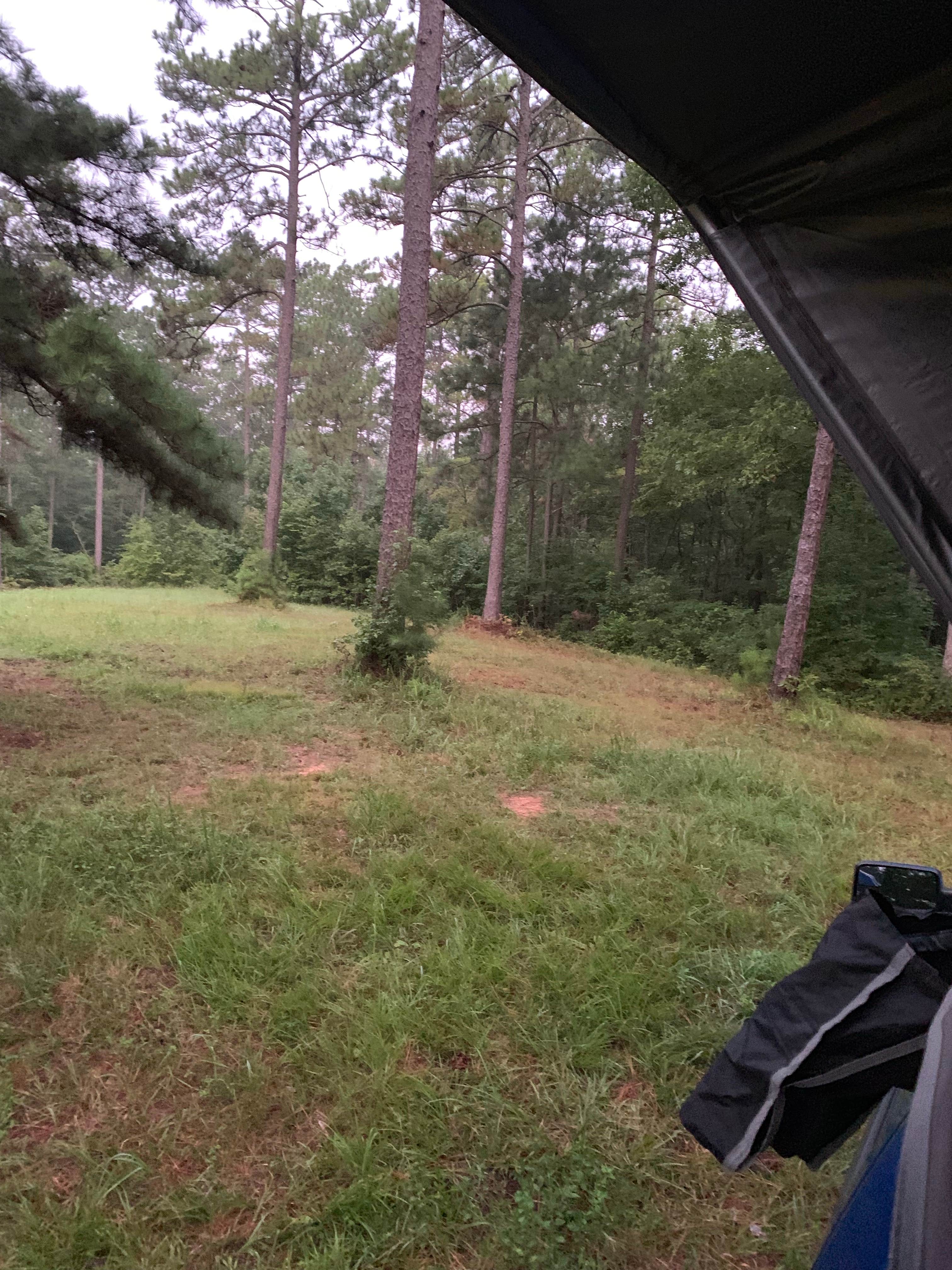 Nate H.'s photo of tent camping at Hollins Wildlife Camping Area near Pelham, AL