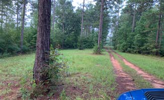 Nate H.'s photo at Hollins Wildlife Camping Area near Millerville, AL