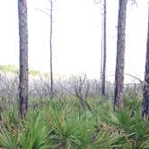Review photo of Topsail Hill Preserve State Park Campground by Nickie F., October 13, 2019