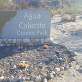 Review photo of Agua Caliente County Park Campground by Berton M., October 13, 2019