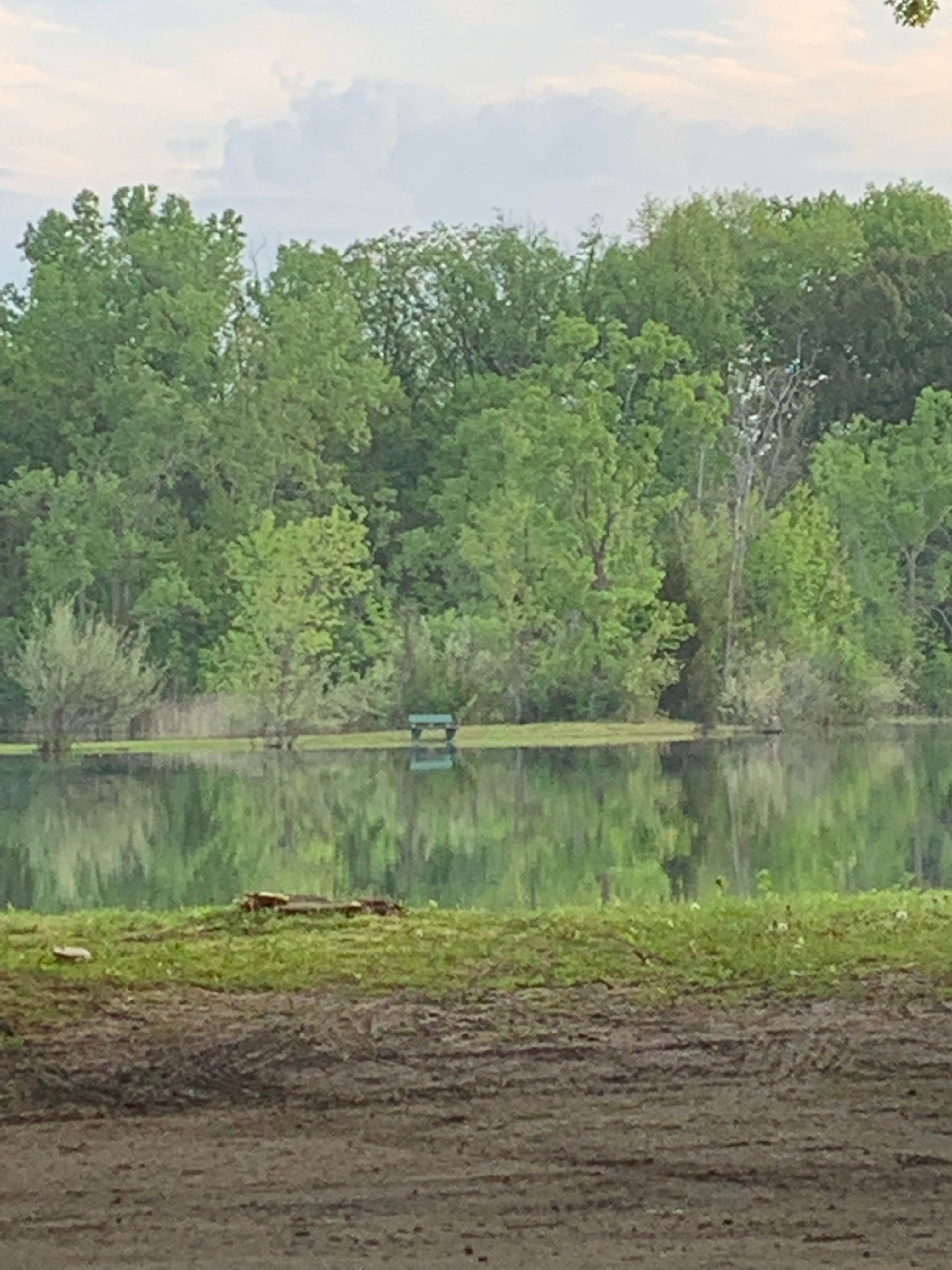 Camper-submitted photo at Detroit/Ann Arbor KOA near Dearborn Heights, MI