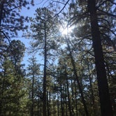 Review photo of Knoll Lake Campground by Jesse S., October 14, 2019
