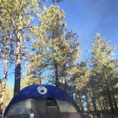 Review photo of Knoll Lake Campground by Jesse S., October 14, 2019