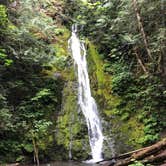 Review photo of Heart O' the Hills Campground — Olympic National Park by Suzanne S., October 14, 2019