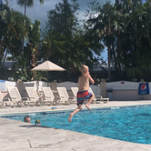 Review photo of Boyd's Key West Campground by Tammy P., October 14, 2019