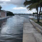 Review photo of Boyd's Key West Campground by Tammy P., October 14, 2019