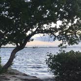 Review photo of Boyd's Key West Campground by Tammy P., October 14, 2019