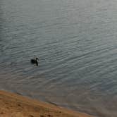 Review photo of Stillwater Reservoir by Geoff W., August 16, 2017