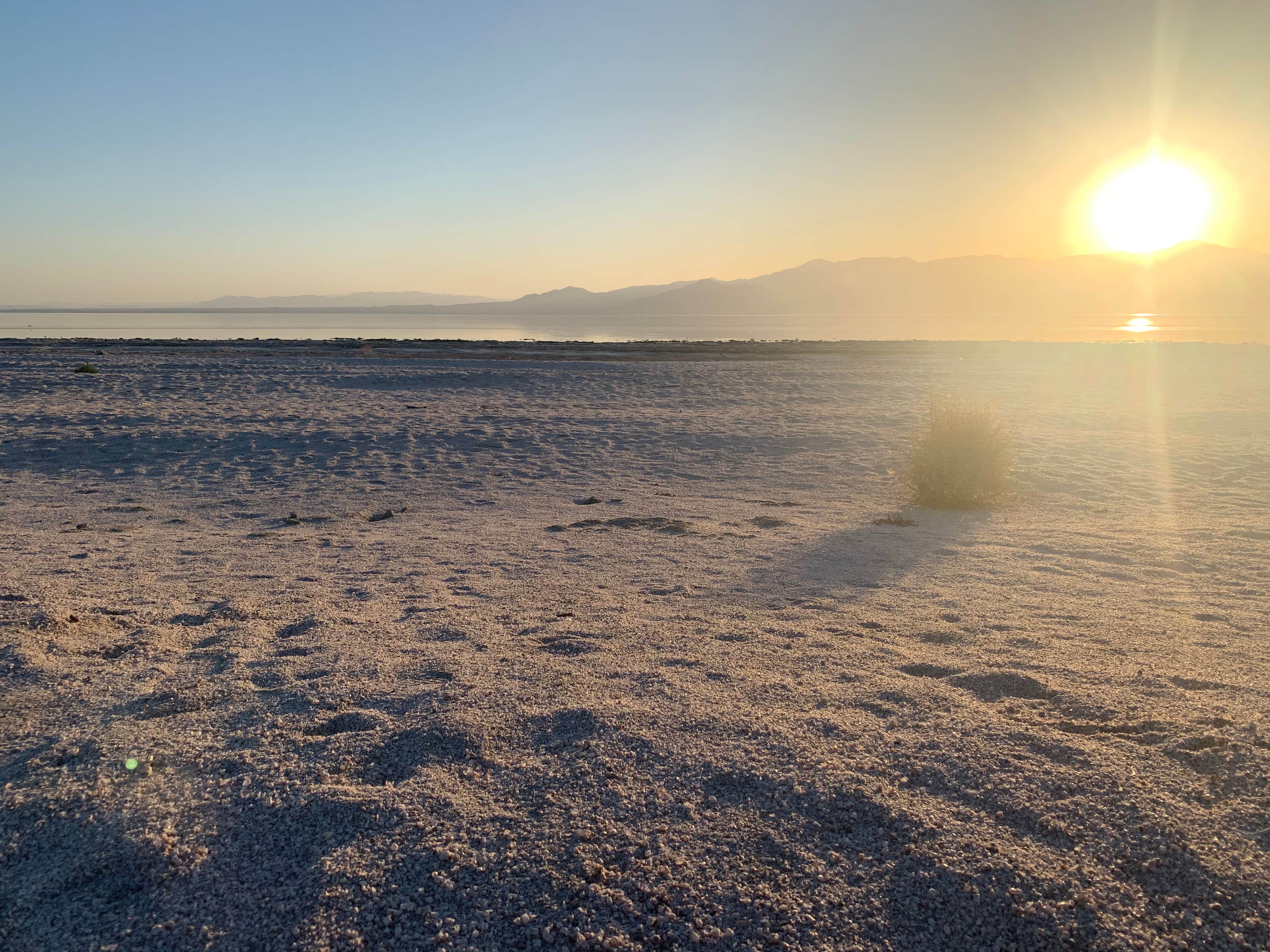 Camper-submitted photo at Mecca Beach Campground — Salton Sea State Recreation Area near Coolidge Springs, CA