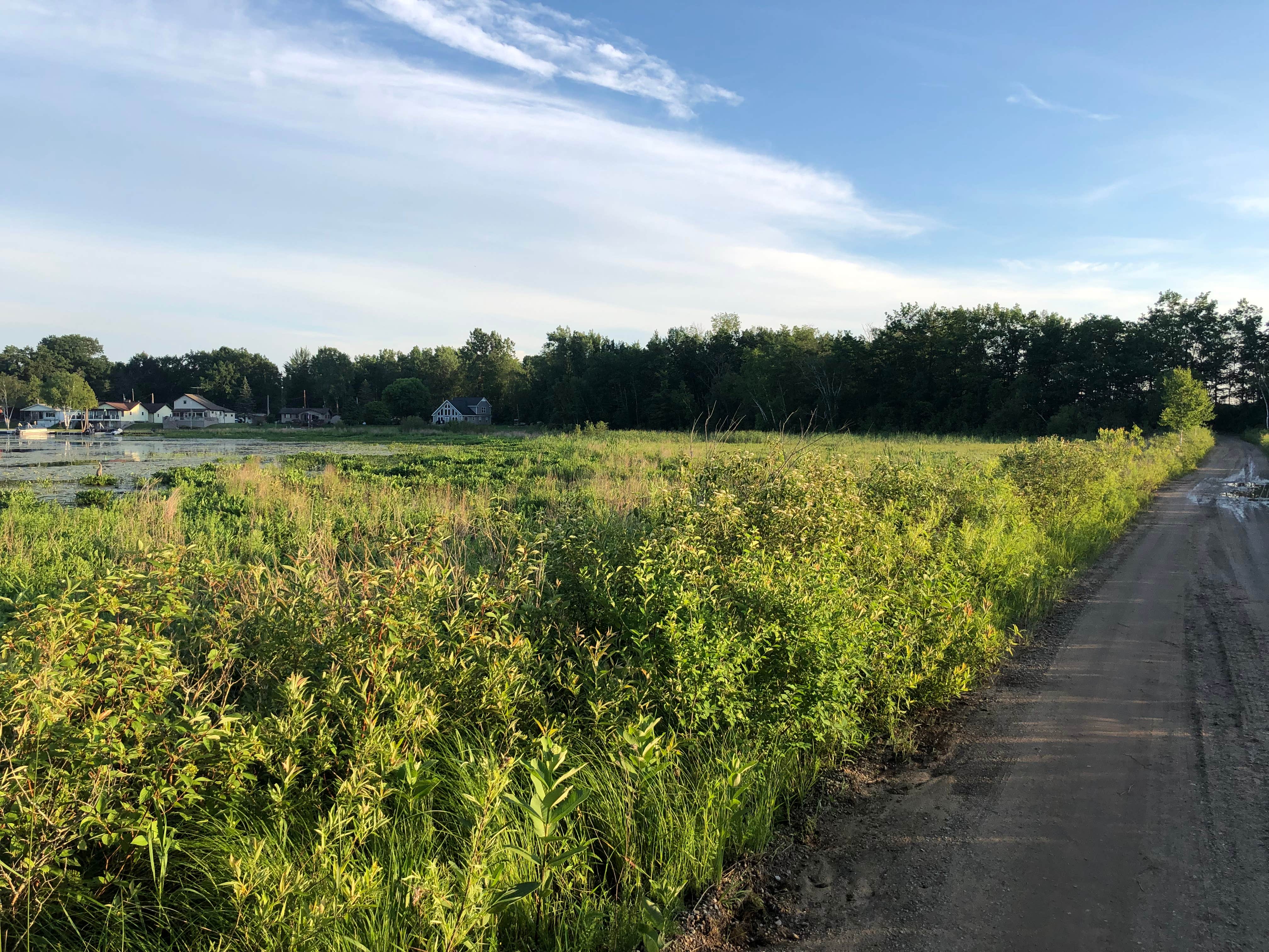 Camper-submitted photo at Tubbs Lake Island State Forest Campground near Alma, MI