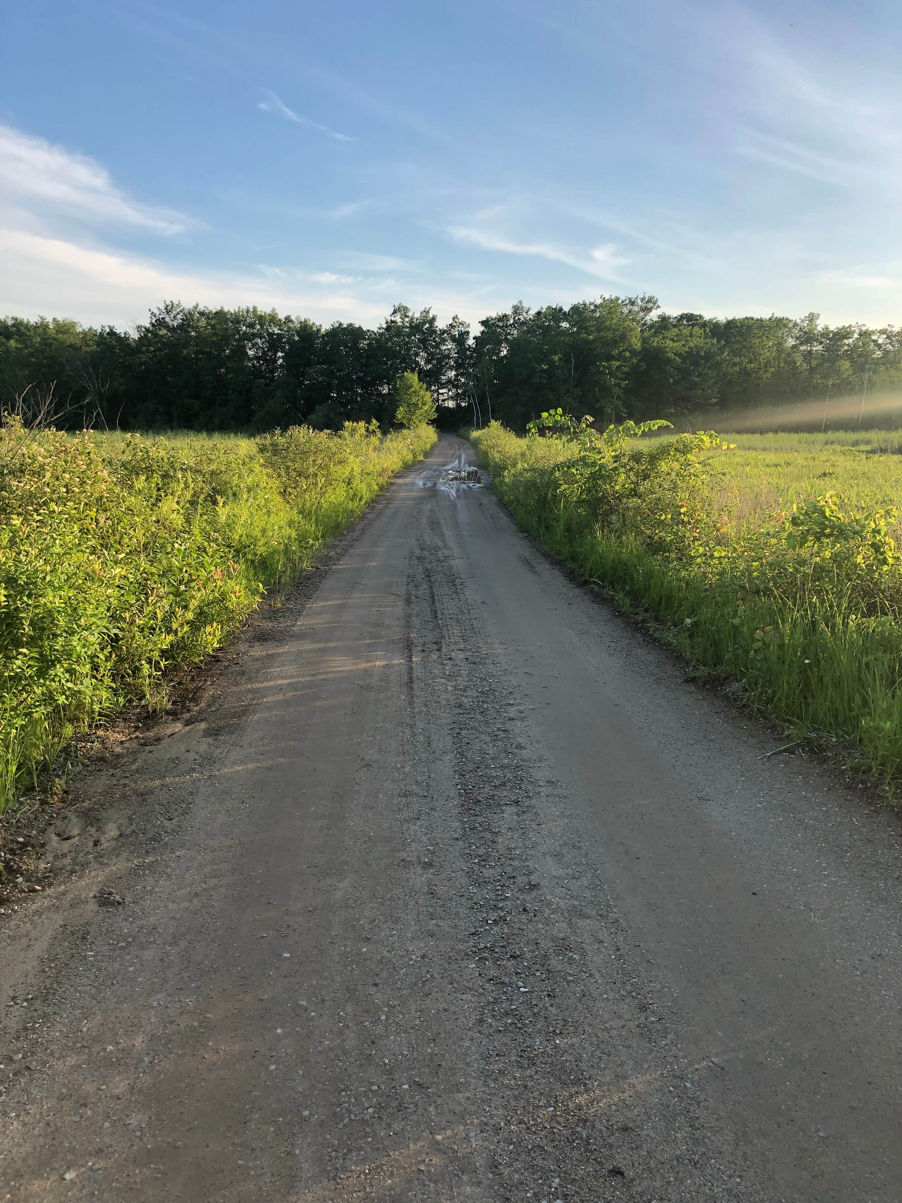 Camper-submitted photo at Tubbs Lake Island State Forest Campground near Alma, MI