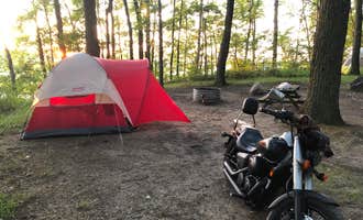 Camping near Weidman KOA: Tubbs Lake Island State Forest Campground, Remus, Michigan