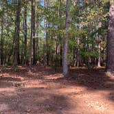 Review photo of Hard Labor Creek State Park Campground by Larry M., October 14, 2019