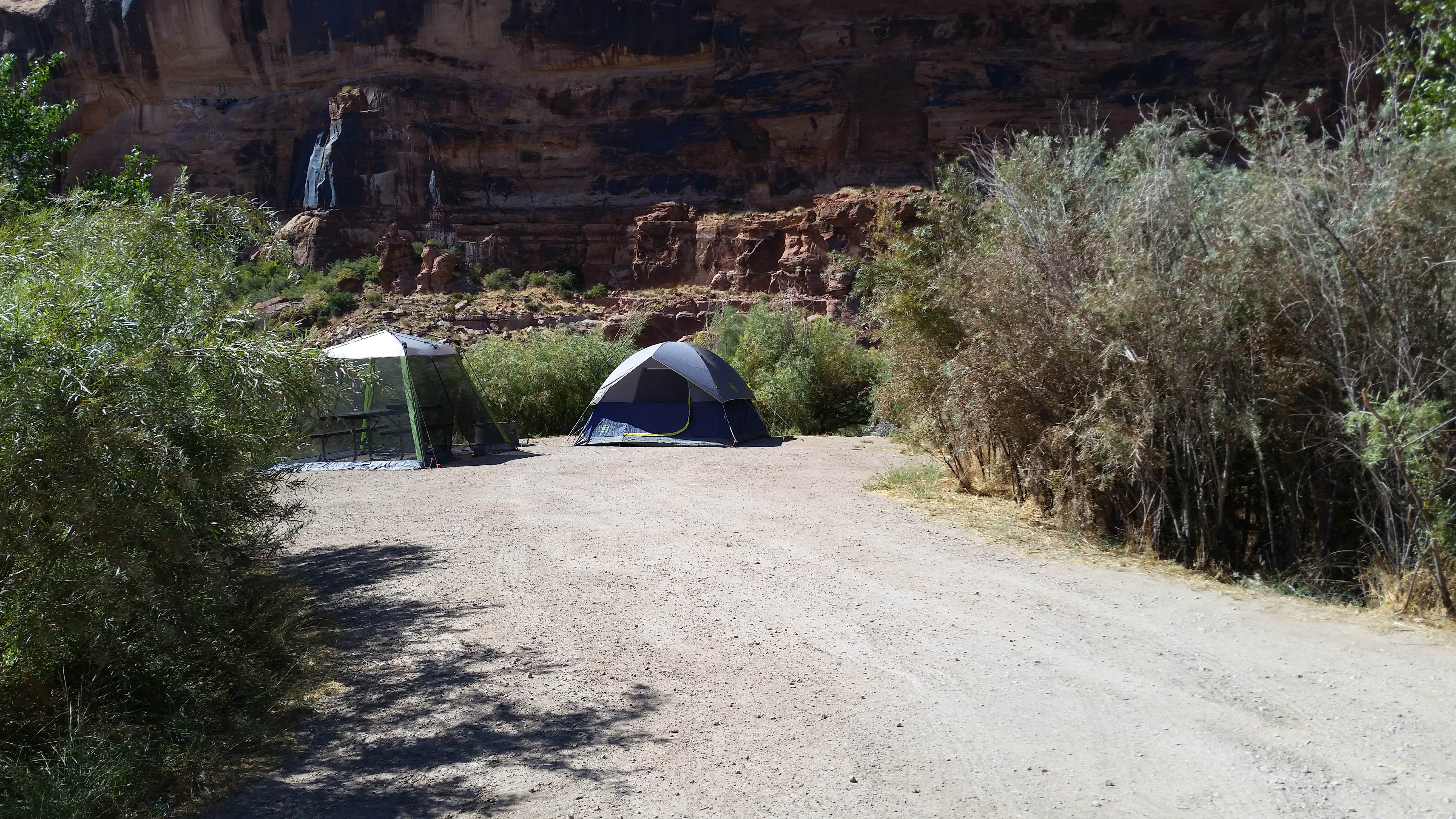 Dexter I.'s photo at Goose Island Campground near Arches National Park