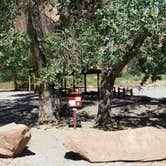 Review photo of Goose Island Campground by Dexter I., October 14, 2019