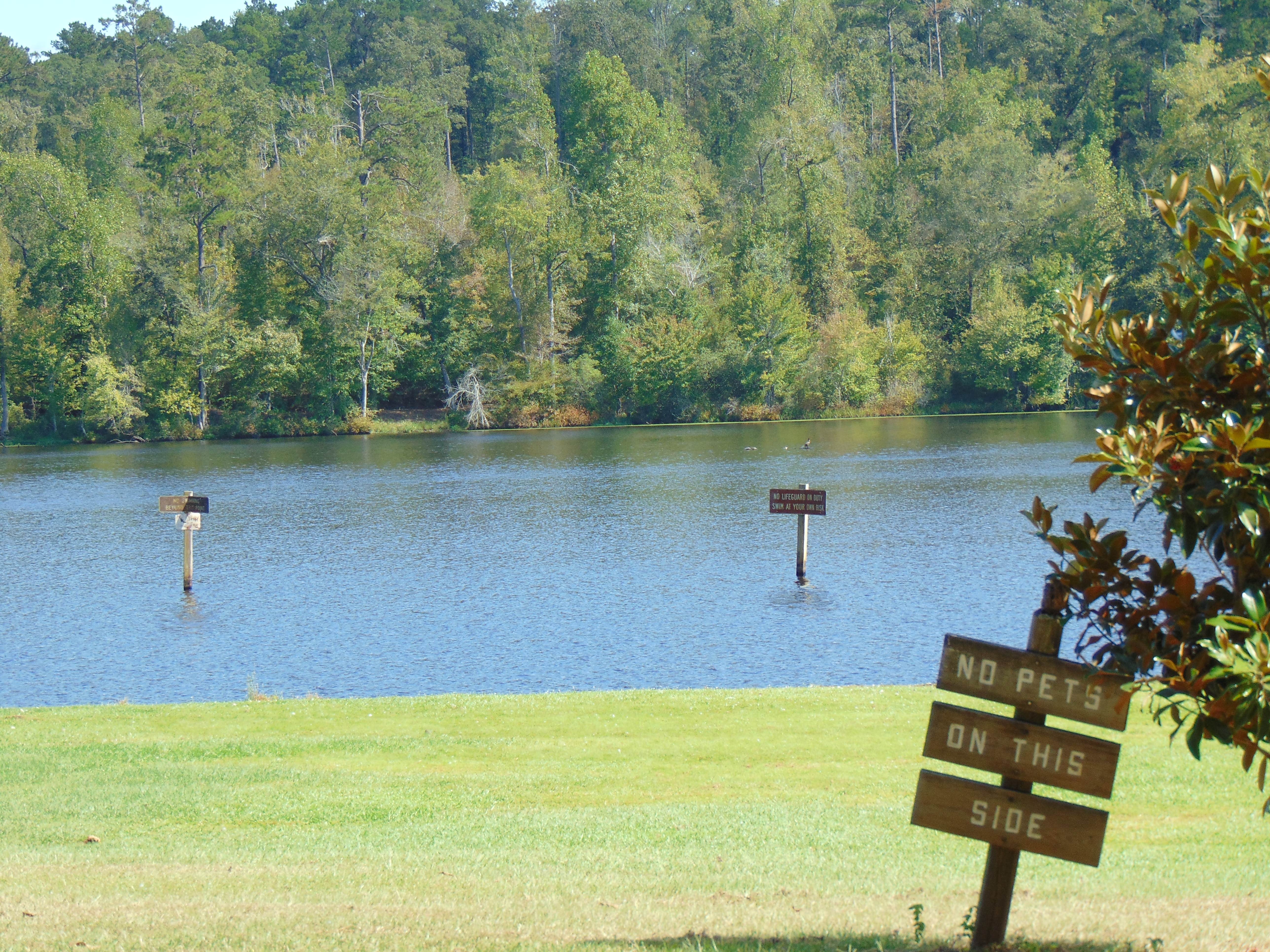 Camper submitted image from Paul M. Grist State Park Campground - 3