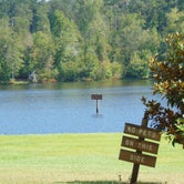 Review photo of Paul M. Grist State Park Campground by Dick P., October 14, 2019