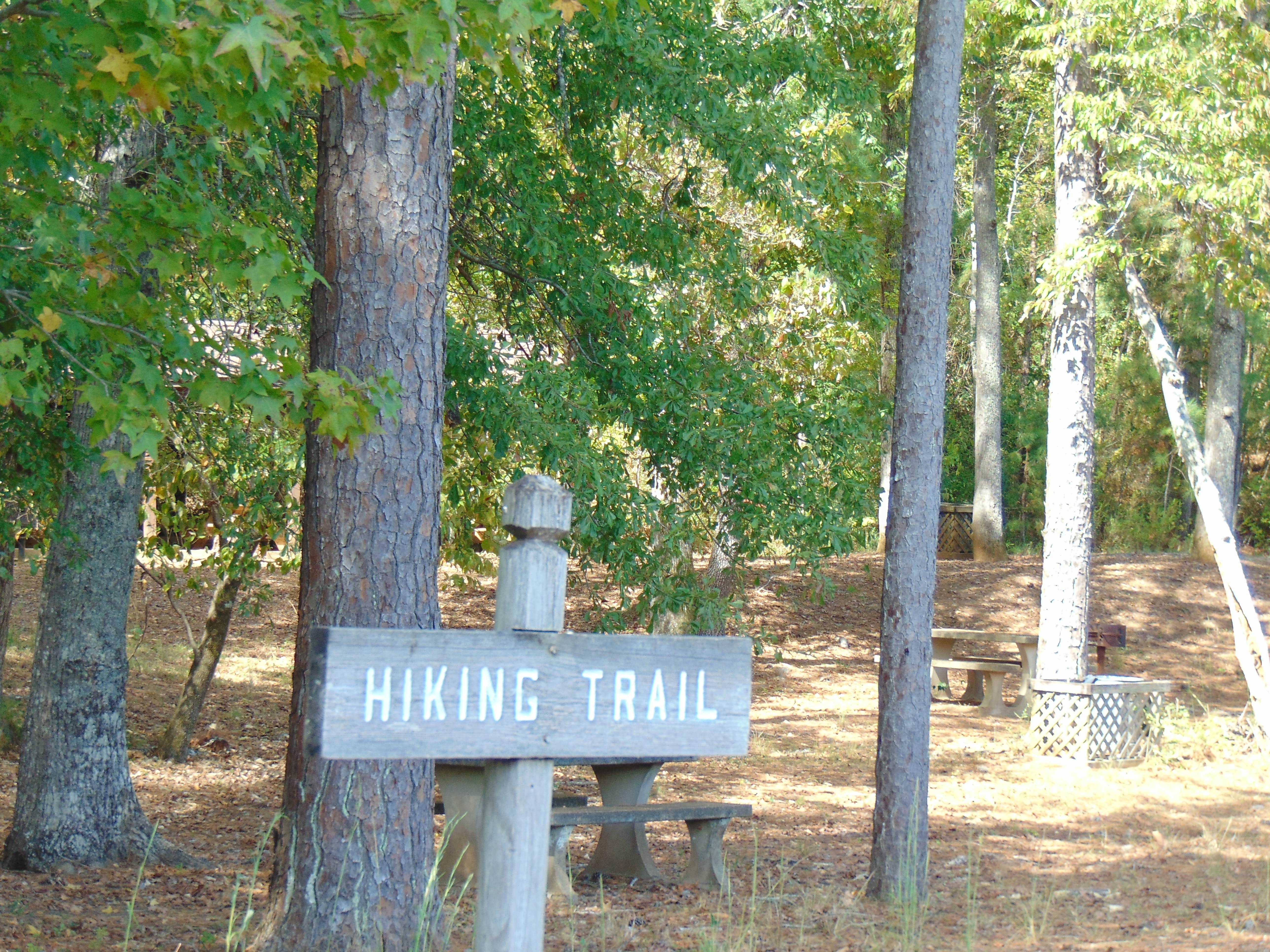 Camper submitted image from Paul M. Grist State Park Campground - 2