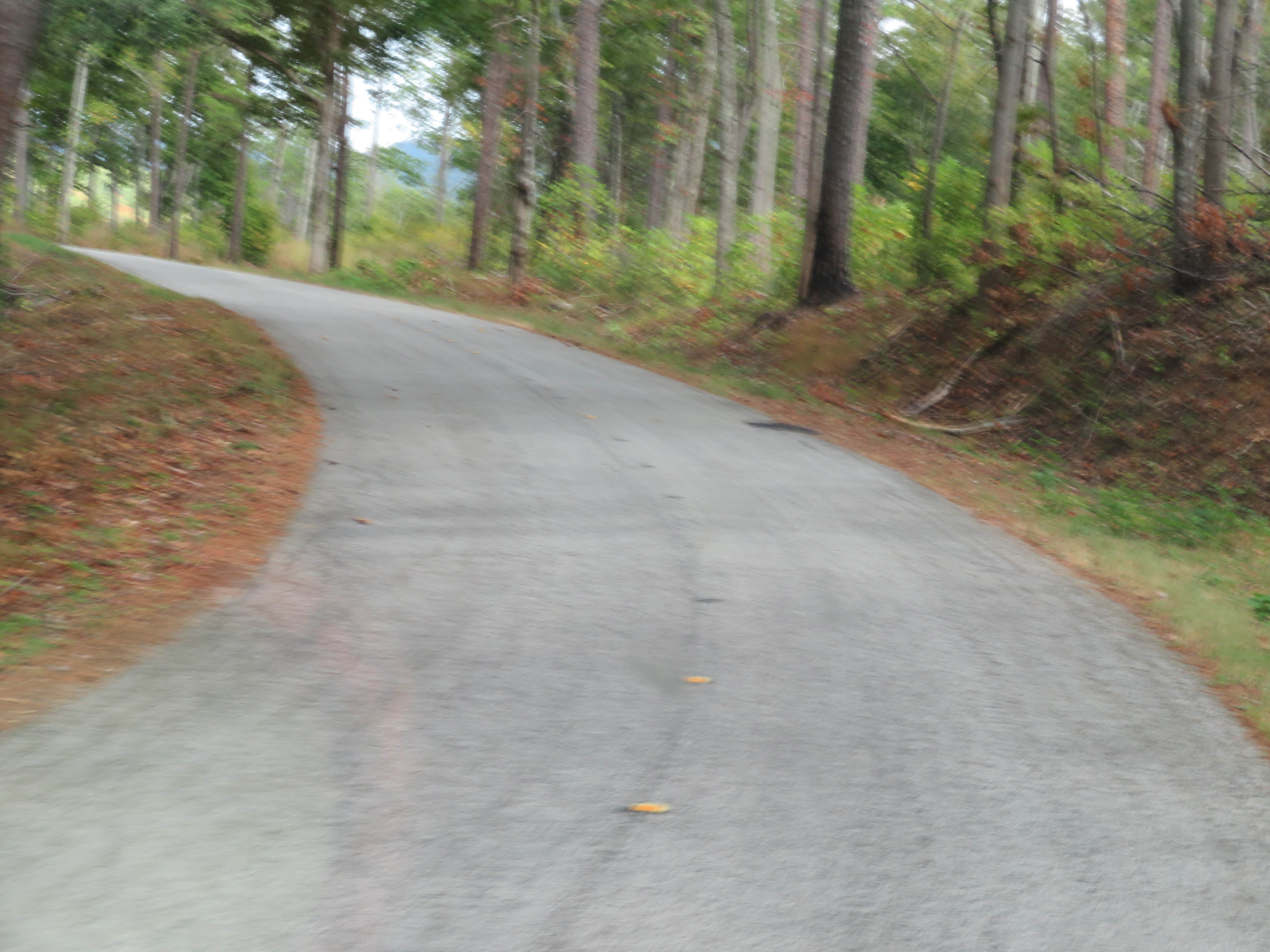 Camper-submitted photo at Paul M. Grist State Park Campground near Marion Junction, AL