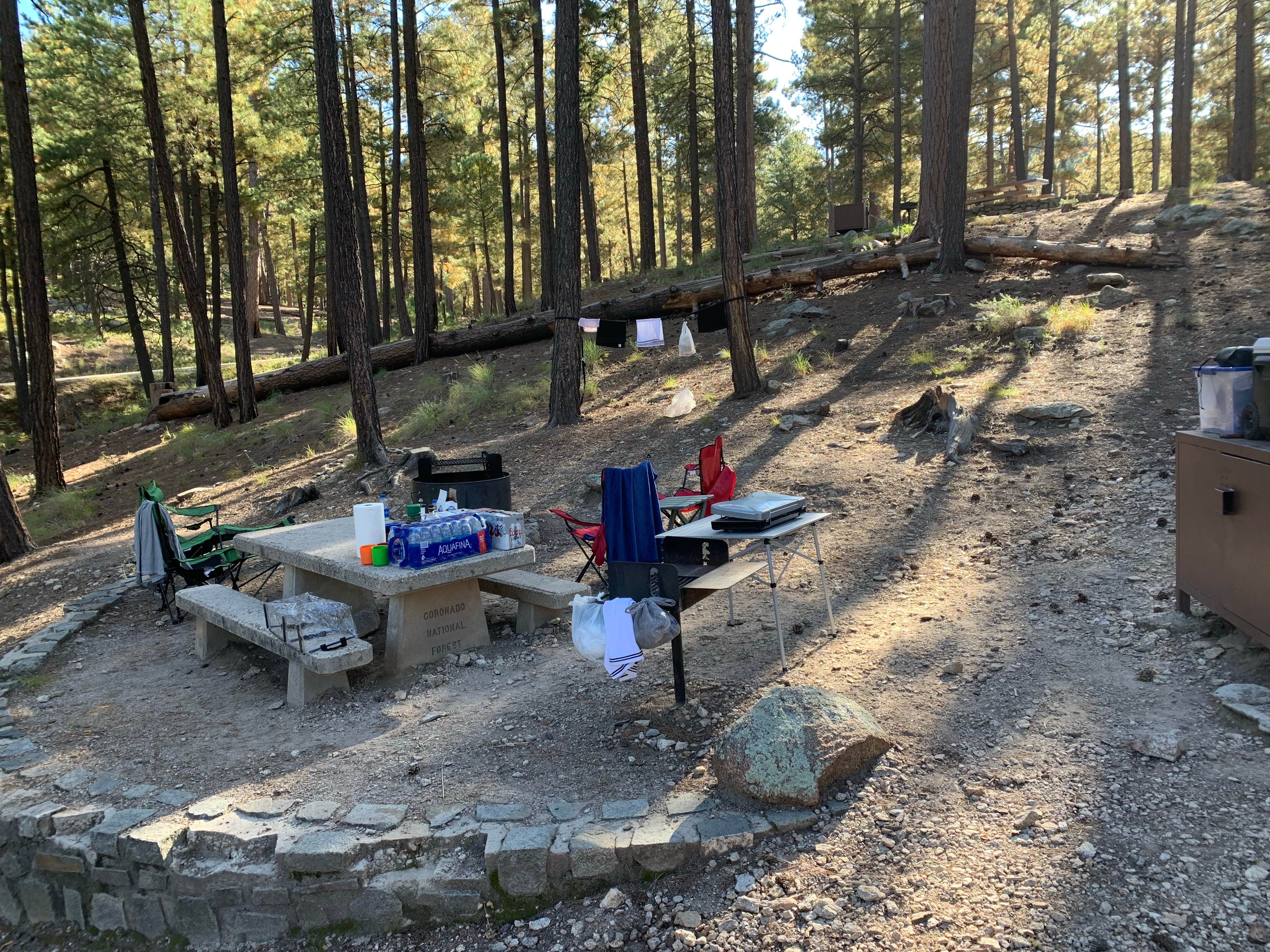 Gary P.'s photo at Spencer Canyon Campground near Saguaro National Park