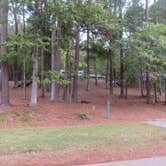 Review photo of Lake Lurleen State Park Campground by Dick P., October 14, 2019