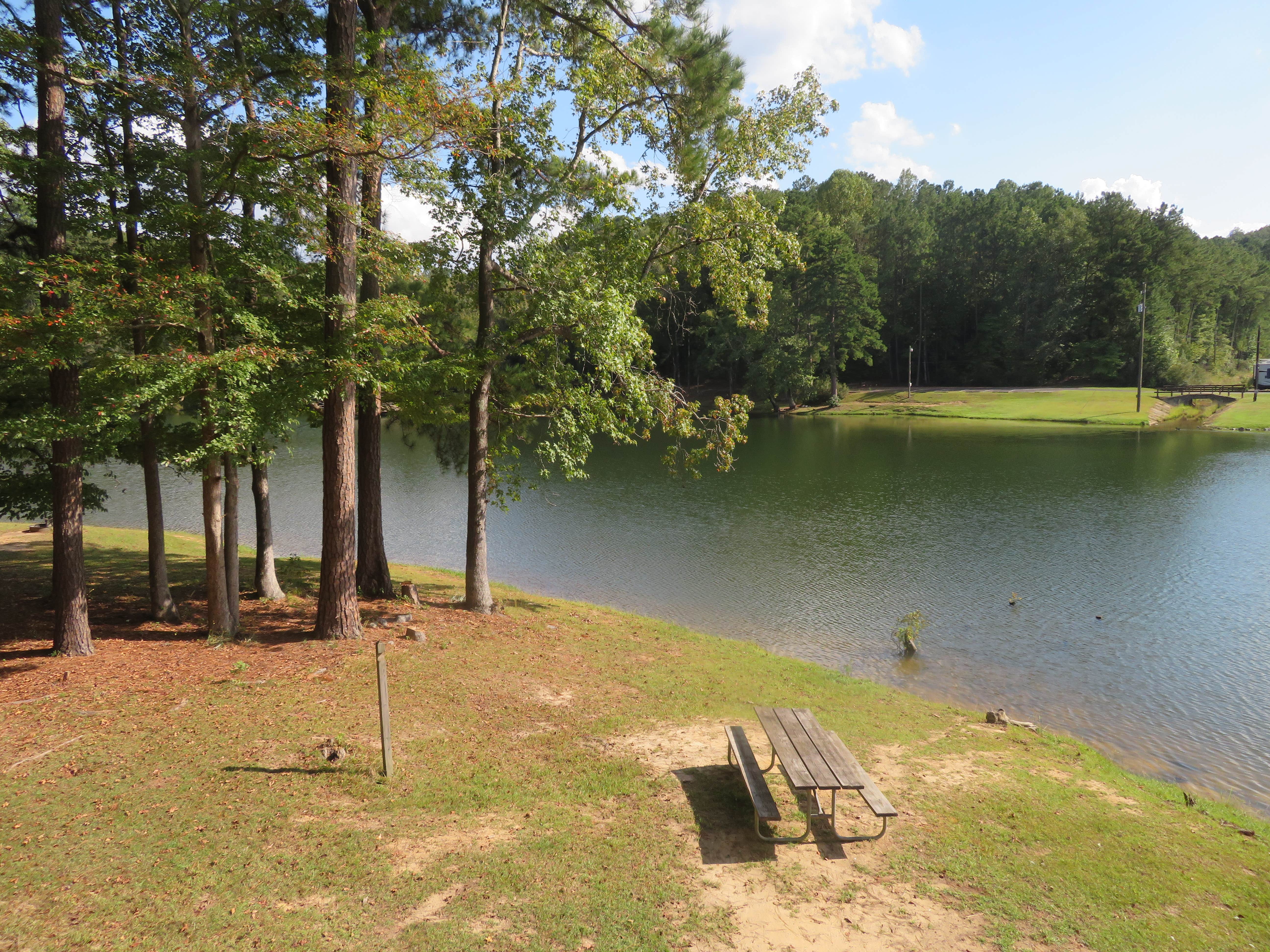 Camper submitted image from Lake Lurleen State Park Campground - 3