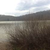 Review photo of Yellowwood State Forest by Dave E., August 16, 2017