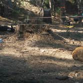 Review photo of Fraser Flat Campground by Jessica J., August 16, 2017
