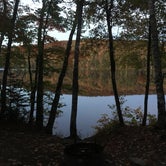 Review photo of Ricker Pond State Park Campground by Ashley L., October 14, 2019