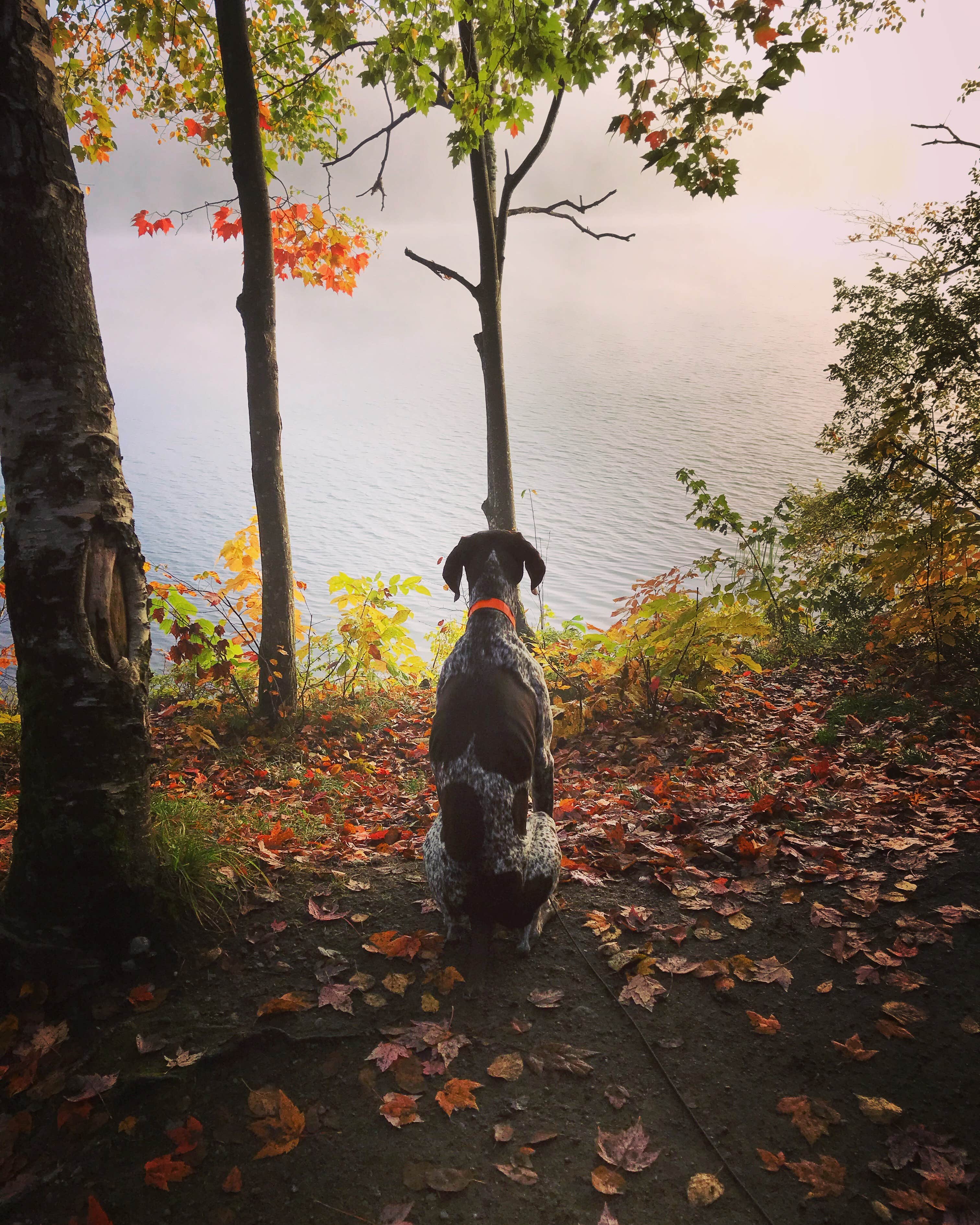 Camper-submitted photo at Ricker Pond State Park Campground near Barre, VT