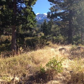 Looking up to Mount Shasta from my camp.