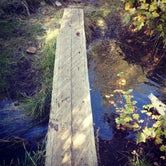 Walking the plank over the stream to the water pump.