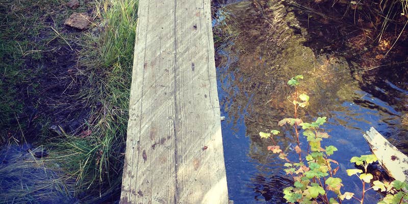 Camper submitted image from Mcbride Springs Campground