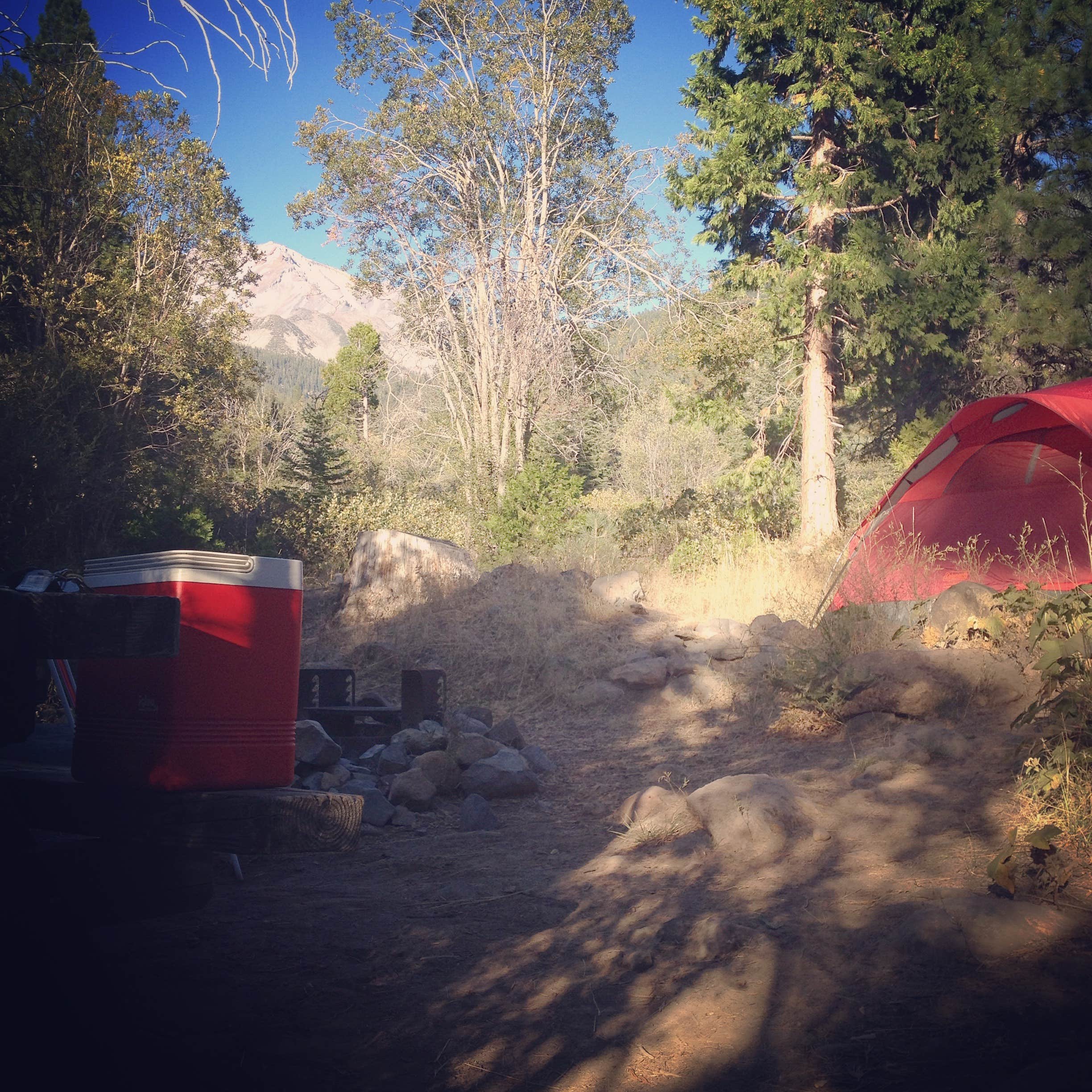 Camper-submitted photo at Mcbride Springs Campground near Weed, CA