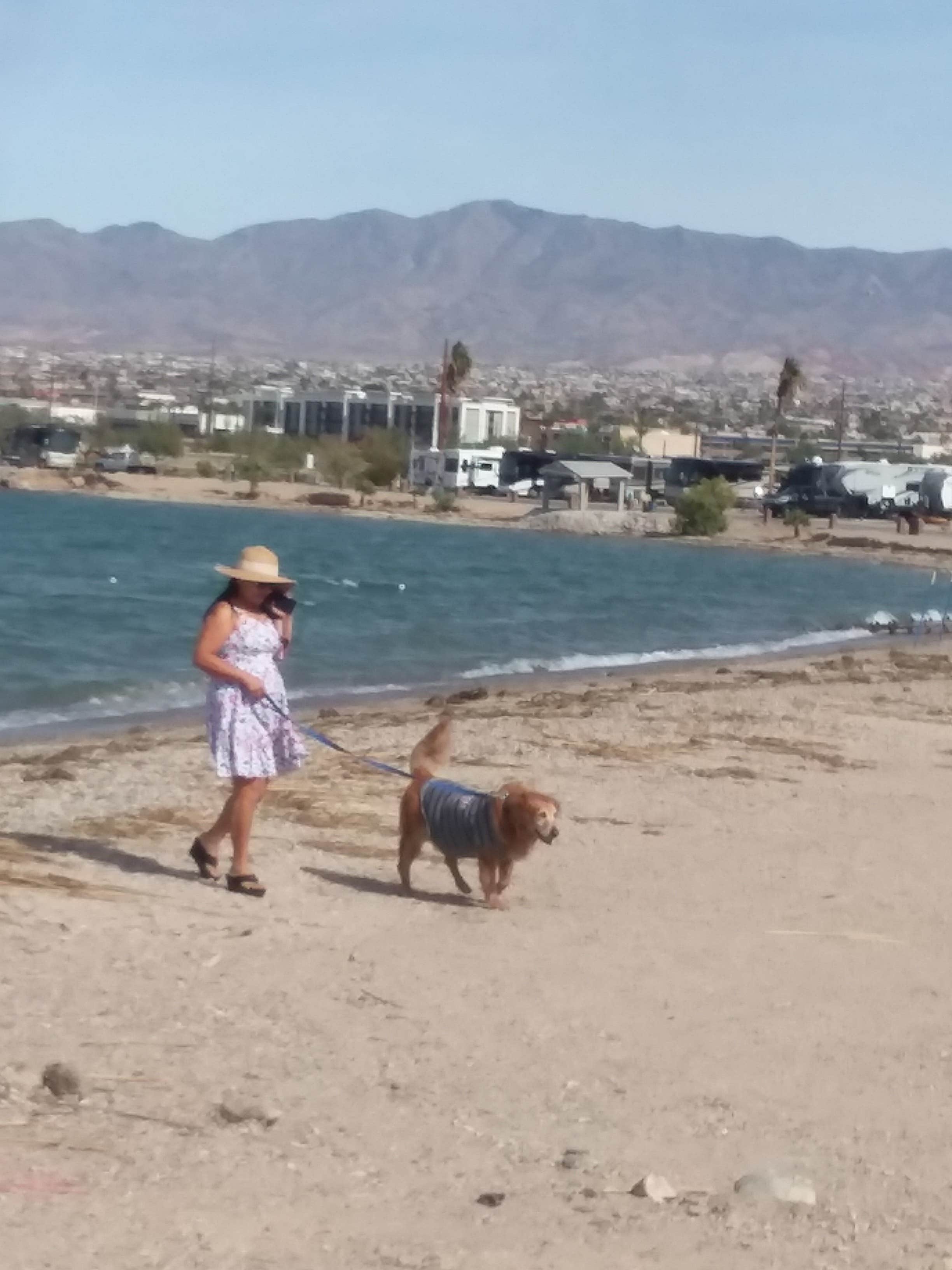 Dave E.'s photo of camping with pets at Crazy Horse Campgrounds near Mohave Valley, AZ