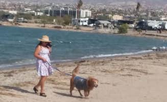 Dave E.'s photo of camping with pets at Crazy Horse Campgrounds near Parker Dam, CA
