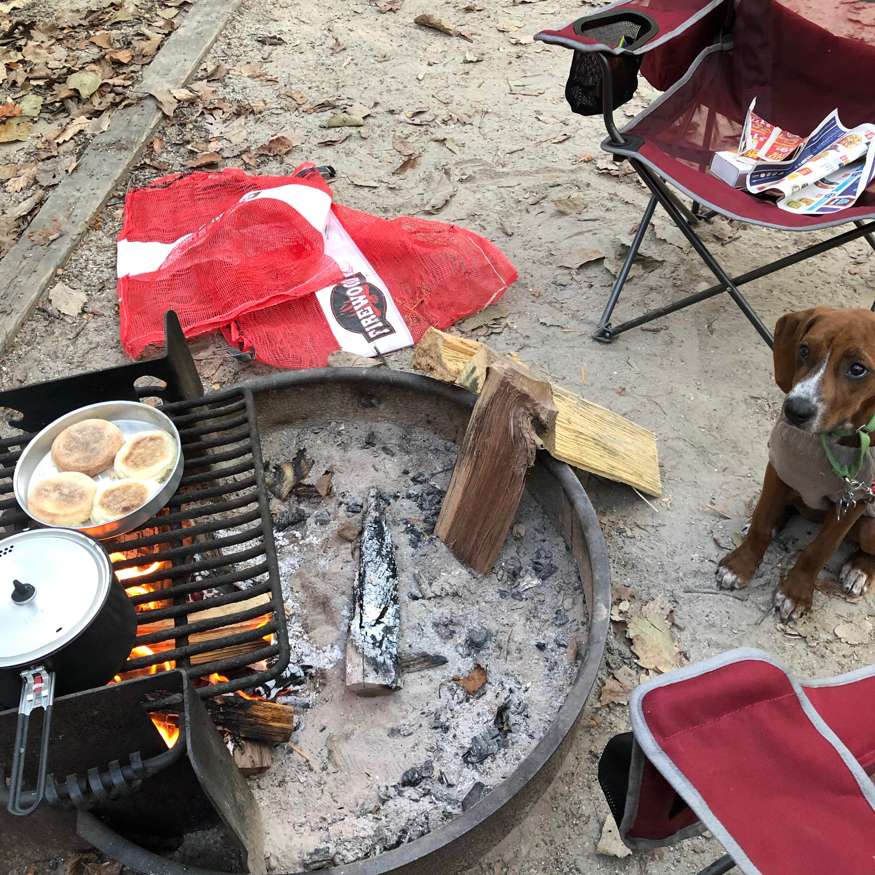 Camper-submitted photo at Tuckahoe State Park Campground near Crofton, MD