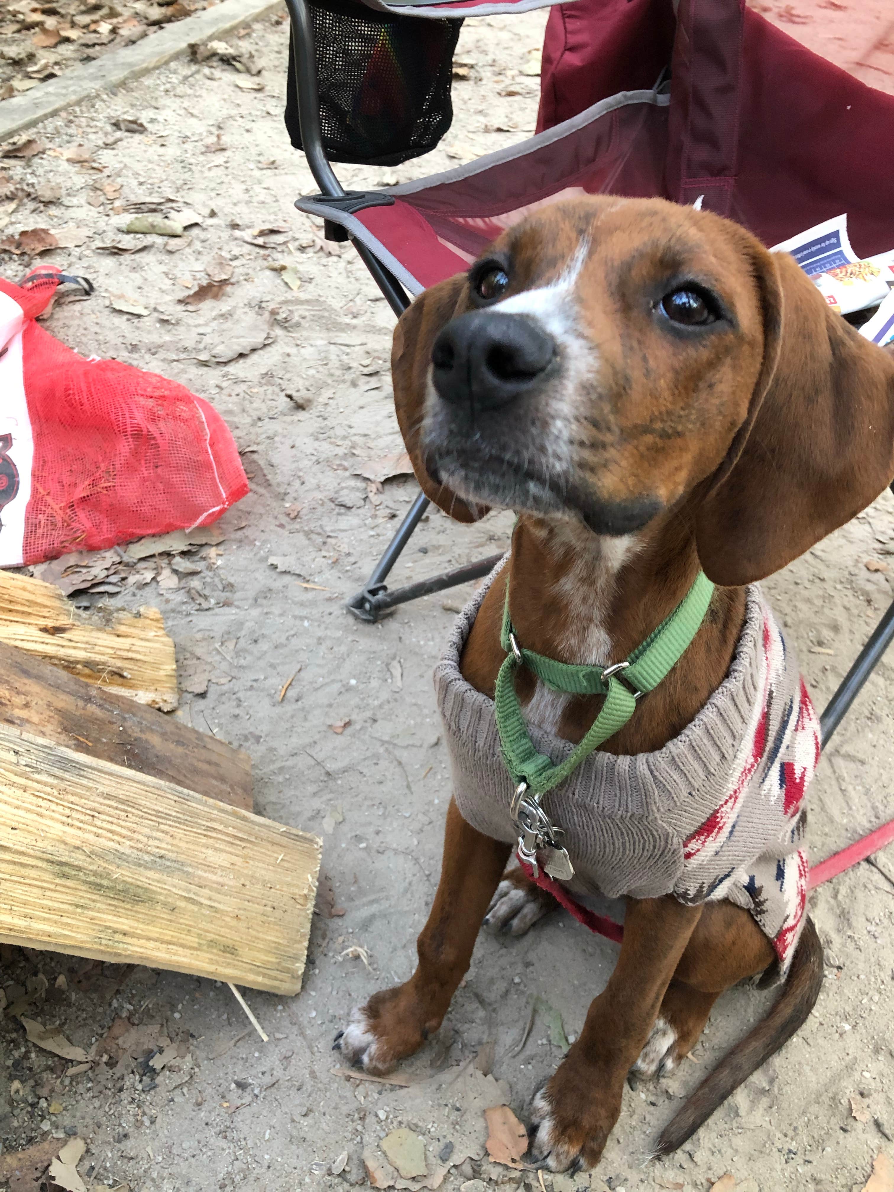 Camper-submitted photo at Tuckahoe State Park Campground near Crofton, MD