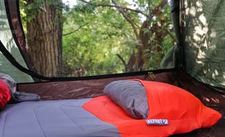 Dawnielle C.'s photo at Weber Memorial Park near Uinta-Wasatch-Cache National Forest