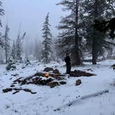 Review photo of Uinta-Wasatch-Cache National Forest Dispersed Camping by Isabelle K., October 14, 2019