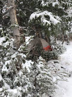 Isabelle K.'s photo of tent camping at Uinta-Wasatch-Cache National Forest Dispersed Camping near Snowbird, UT