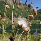 Review photo of Weber Memorial Park by Dawnielle C., August 16, 2017