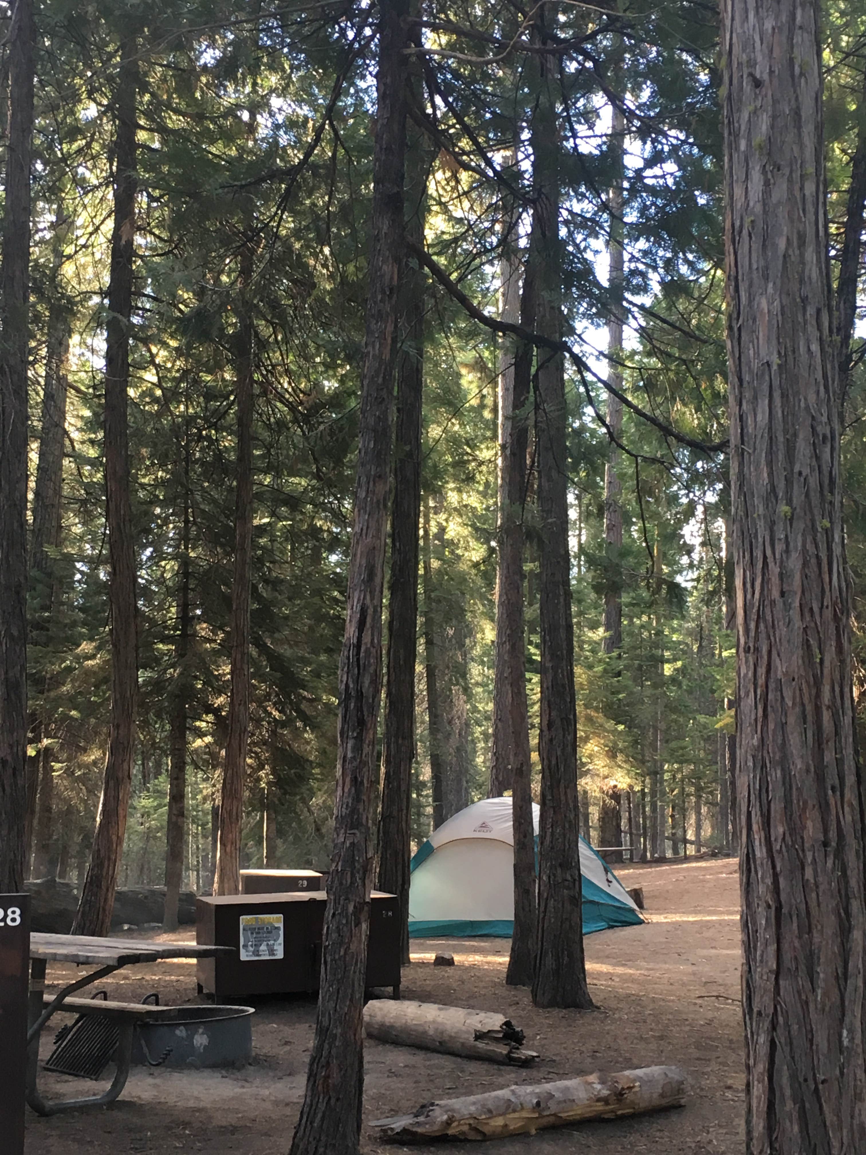Bhhakti M.'s photo at Wawona Campground — Yosemite National Park near Fish Camp, CA