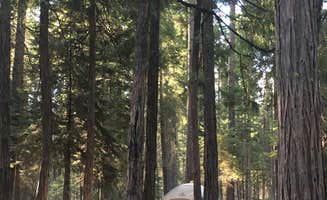 Bhhakti M.'s photo at Wawona Campground — Yosemite National Park near Mariposa, CA